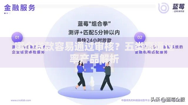 哪个贷款容易通过审核？五类高通过率产品解析