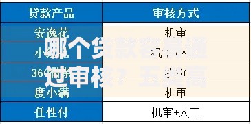 哪个贷款容易通过审核？五类高通过率产品解析