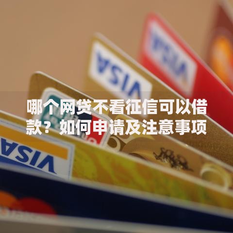 哪个网贷不看征信可以借款？如何申请及注意事项解析