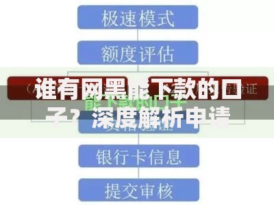 谁有网黑能下款的口子？深度解析申请条件与风险