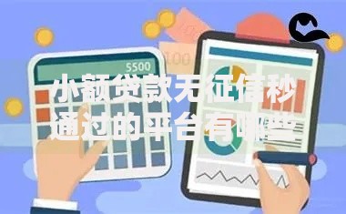 小额贷款无征信秒通过的平台有哪些？5大正规渠道解析