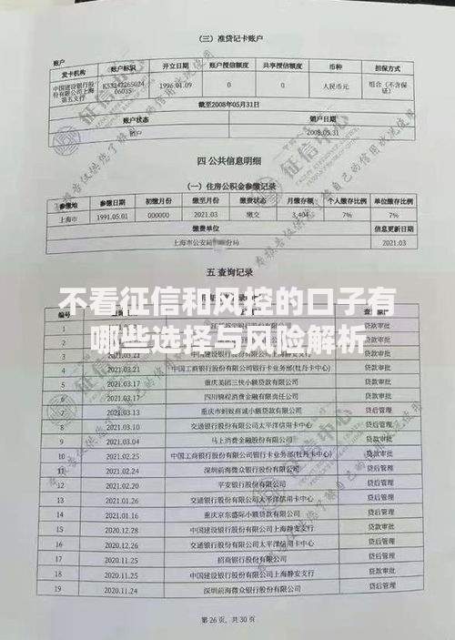 不看征信和风控的口子有哪些选择与风险解析