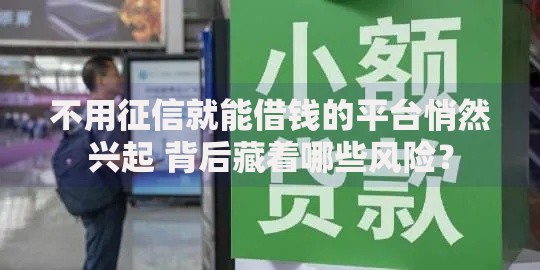 不用征信就能借钱的平台悄然兴起 背后藏着哪些风险？