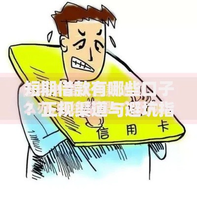 短期借款有哪些口子？正规渠道与避坑指南解析