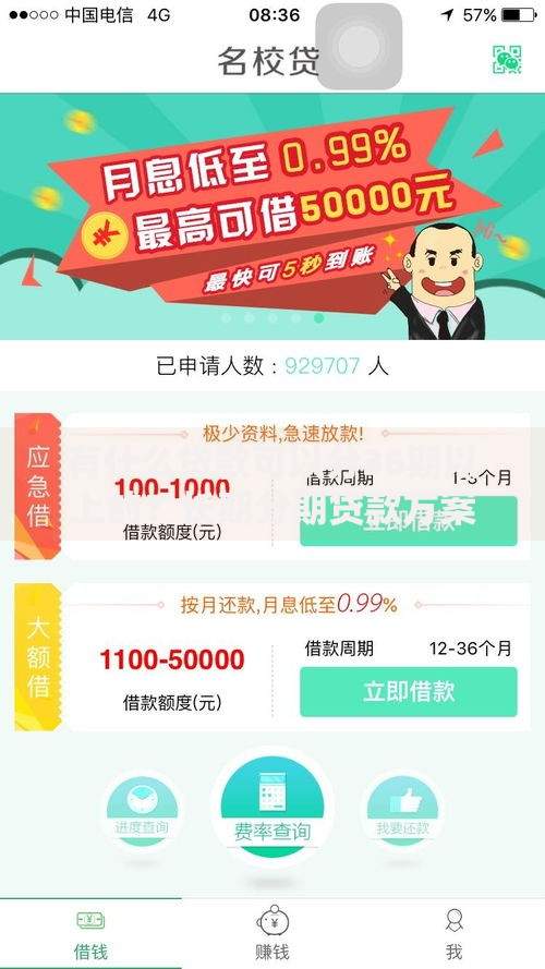 有什么贷款可以分36期以上的?长期分期贷款方案解析 有什么贷款可以分36期以上的?长期分期贷款方案解析