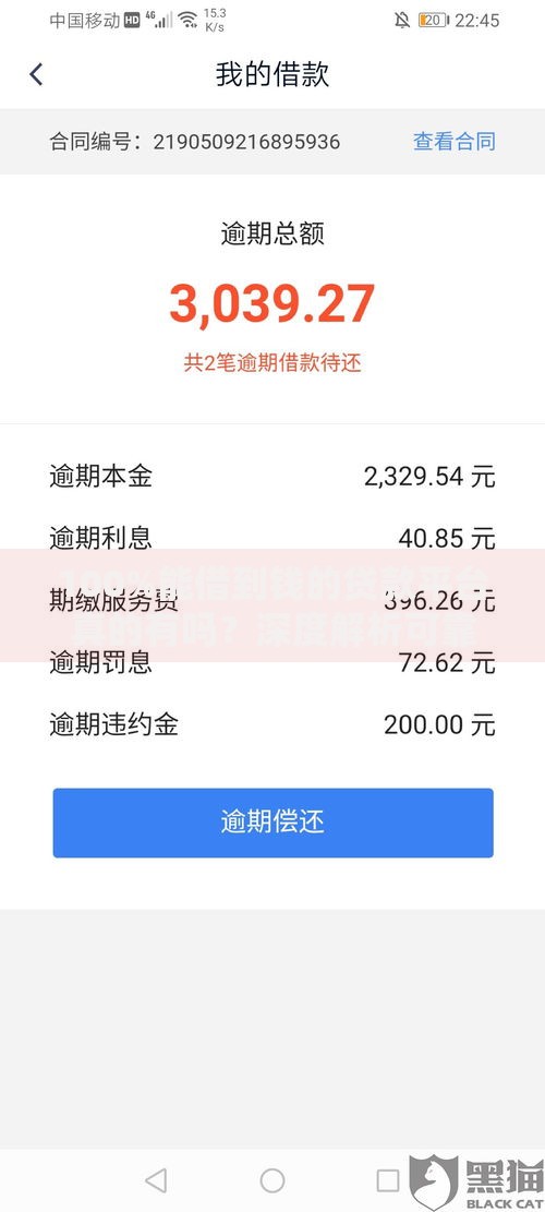 100%能借到钱的贷款平台真的有吗？深度解析可靠渠道与申请技巧