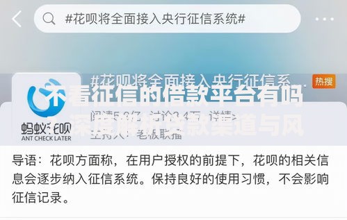 不看征信的借款平台有吗？深度解析贷款渠道与风险