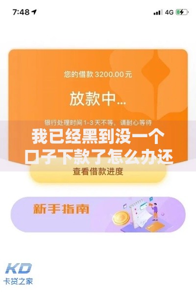 我已经黑到没一个口子下款了怎么办还能借款吗