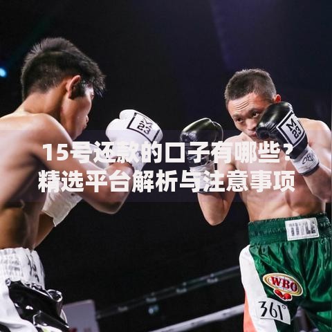 15号还款的口子有哪些？精选平台解析与注意事项