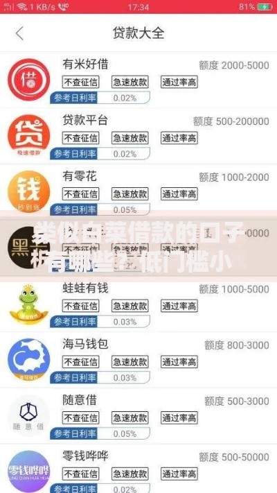 类似白菜借款的口子有哪些？低门槛小额贷款平台推荐