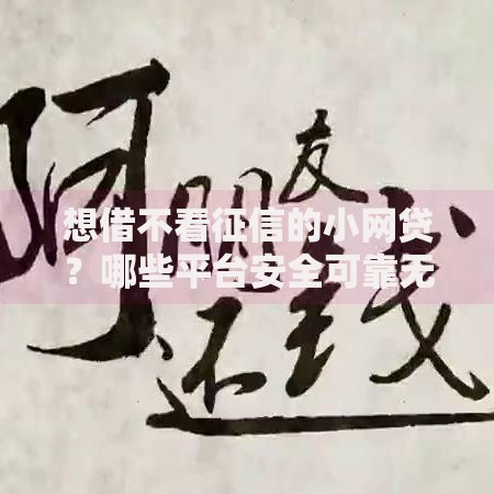 想借不看征信的小网贷？哪些平台安全可靠无风险