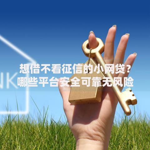 想借不看征信的小网贷？哪些平台安全可靠无风险
