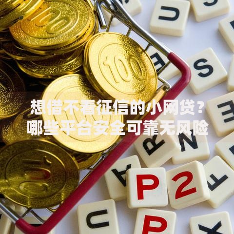 想借不看征信的小网贷？哪些平台安全可靠无风险