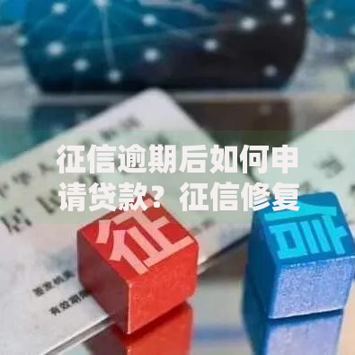 征信逾期后如何申请贷款？征信修复与贷款攻略