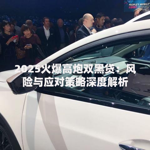 2025火爆高炮双黑贷：风险与应对策略深度解析