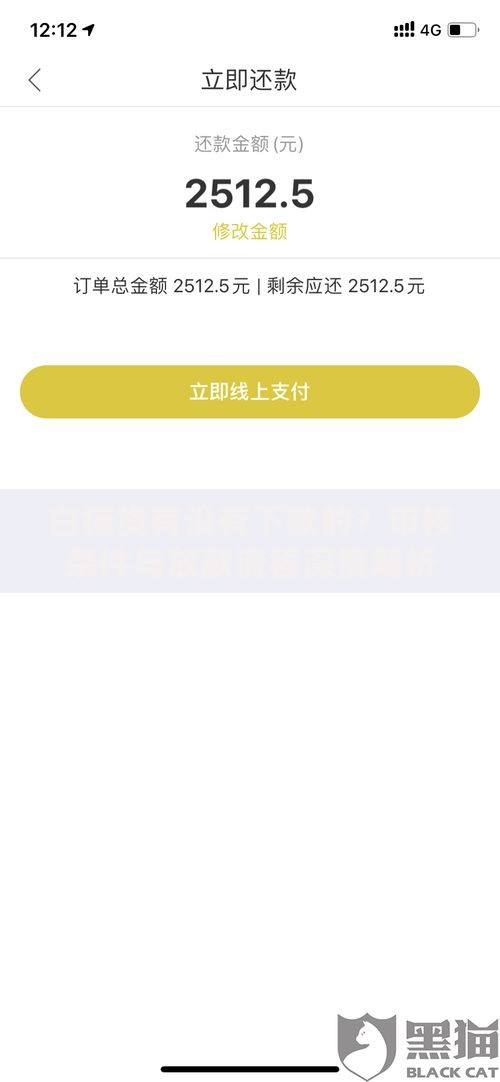 白猫贷有没有下款的？审核条件与放款流程深度解析