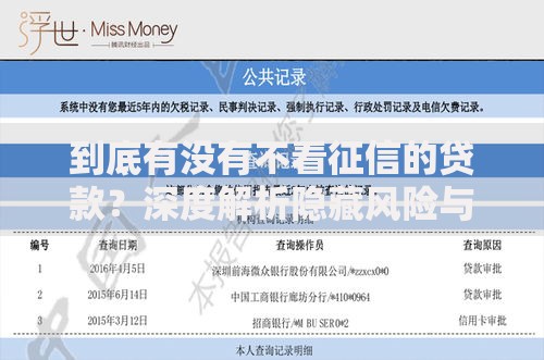 到底有没有不看征信的贷款？深度解析隐藏风险与合法渠道