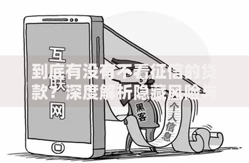 到底有没有不看征信的贷款？深度解析隐藏风险与合法渠道