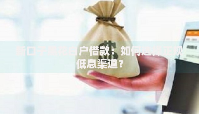 新口子黑花白户借款：如何选择正规低息渠道？