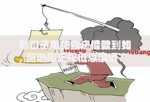 新口子黑花白户借款：如何选择正规低息渠道？