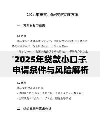 2025年贷款小口子申请条件与风险解析