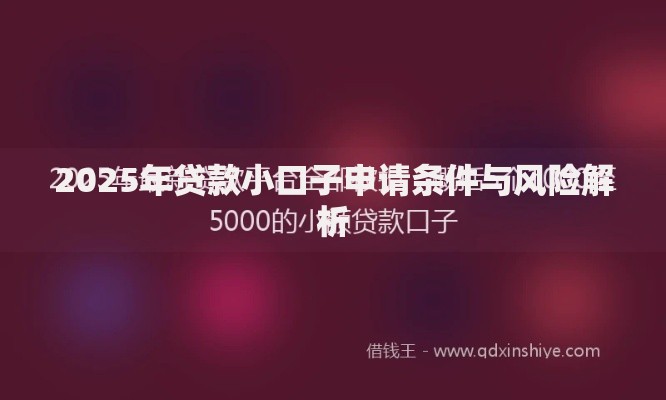 2025年贷款小口子申请条件与风险解析