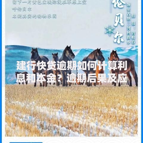 北银消费金融逾期情况怎么处理的？应对方案全解析