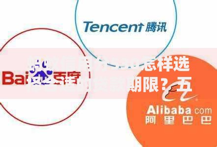 蚂蚁信用分530怎样选择合适的贷款期限？五大策略解析