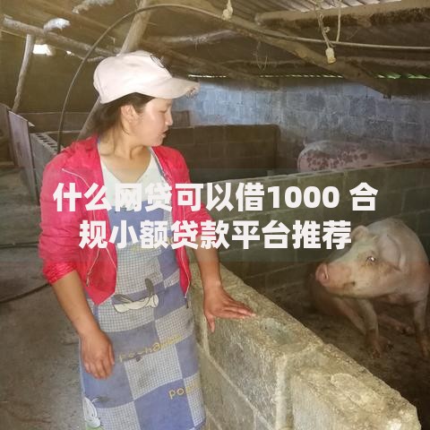 什么网贷可以借1000 合规小额贷款平台推荐