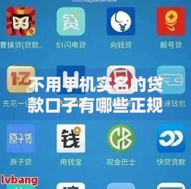 不用手机实名的贷款口子有哪些正规渠道可选？
