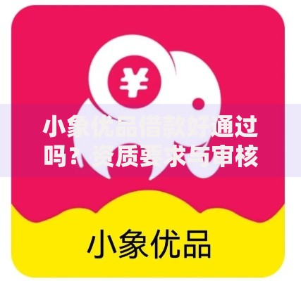 小象优品借款好通过吗？资质要求与审核流程解析