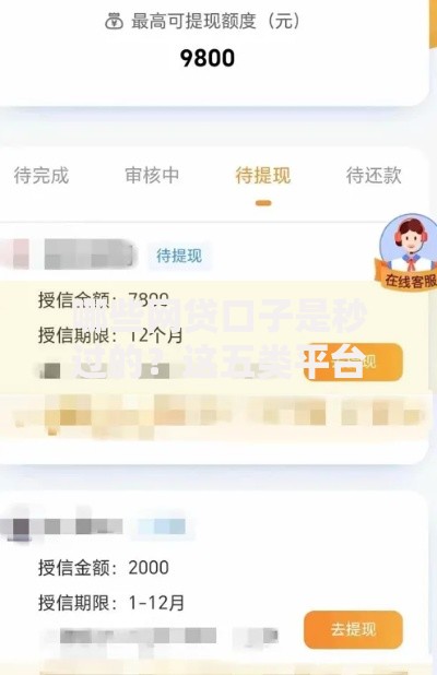 哪些网贷口子是秒过的？这五类平台审核最快到账快