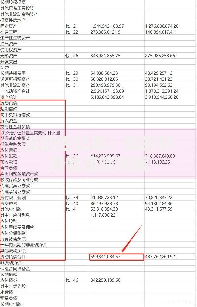 流动性比率：你的财务健康晴雨表