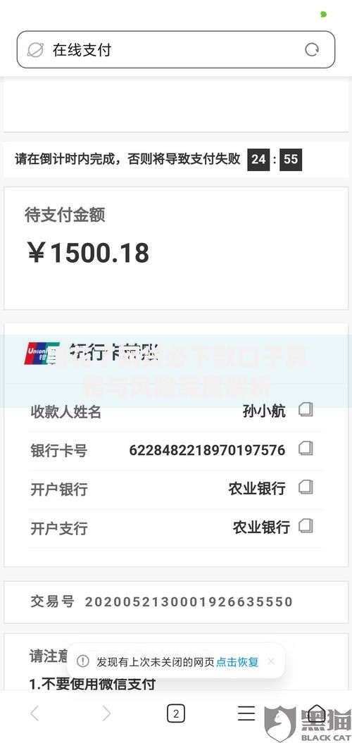 黑花了网贷必下款口子真相与风险深度解析