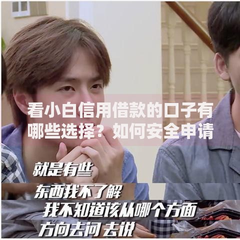 看小白信用借款的口子有哪些选择？如何安全申请？