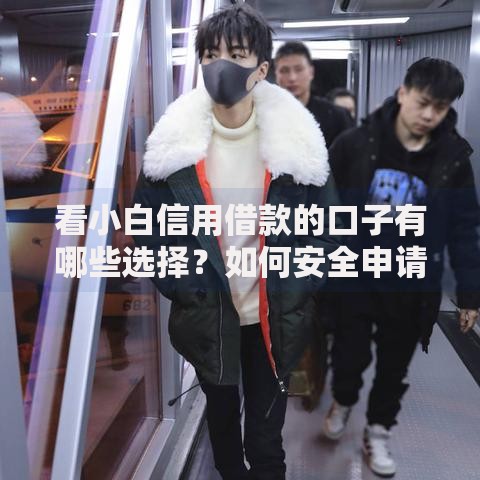 看小白信用借款的口子有哪些选择？如何安全申请？
