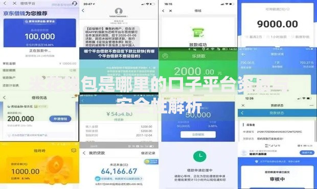 米花钱包是哪里的口子平台资质与安全性解析