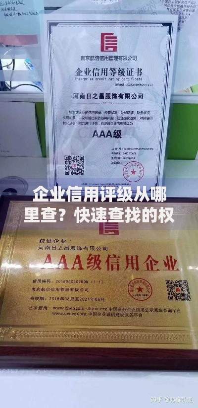 企业信用评级从哪里查？快速查找的权威渠道盘点