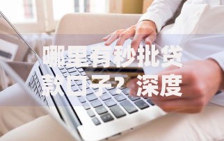 哪里有秒批贷款口子？深度解析正规平台与申请攻略