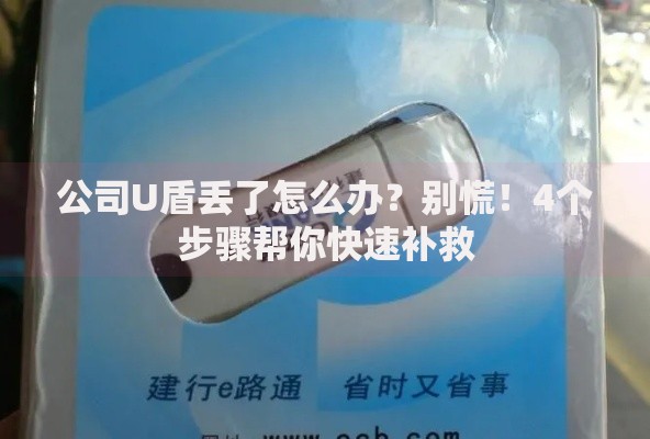 公司U盾丢了怎么办？别慌！4个步骤帮你快速补救