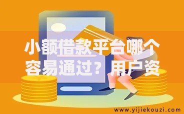 小额借款平台哪个容易通过？用户资质与平台审核深度解析