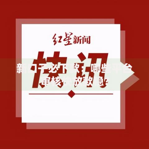 新口子必下款：哪些平台审核快放款稳？
