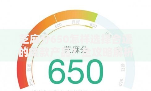 芝麻分650怎样选择合适的贷款产品？全攻略解析