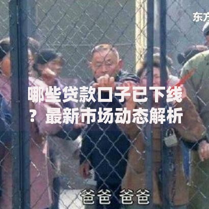 哪些贷款口子已下线？最新市场动态解析