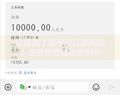 征信花了政审没过影响吗？贷款审批被拒全解析