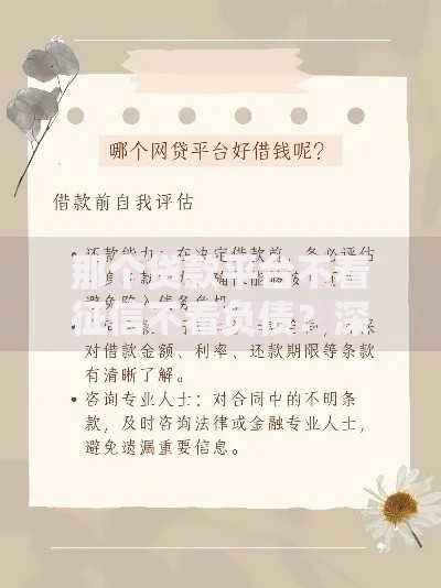 那个贷款平台不看征信不看负债？深度解析真实借贷渠道
