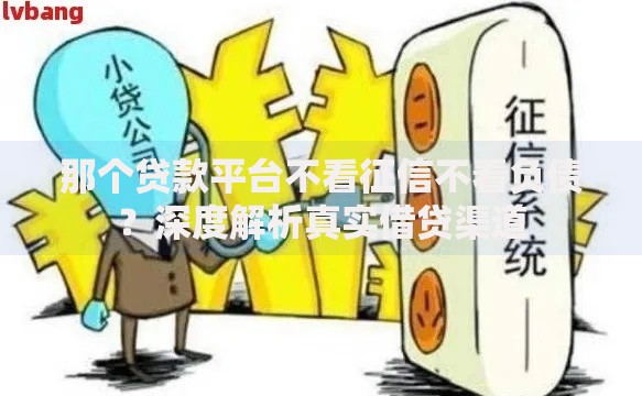 那个贷款平台不看征信不看负债？深度解析真实借贷渠道