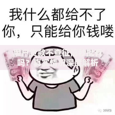 黑户贷款不查征信秒批有吗？真实情况深度解析