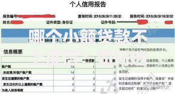 哪个小额贷款不上征信？如何选择安全可靠平台