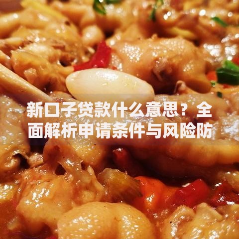 新口子贷款什么意思？全面解析申请条件与风险防范